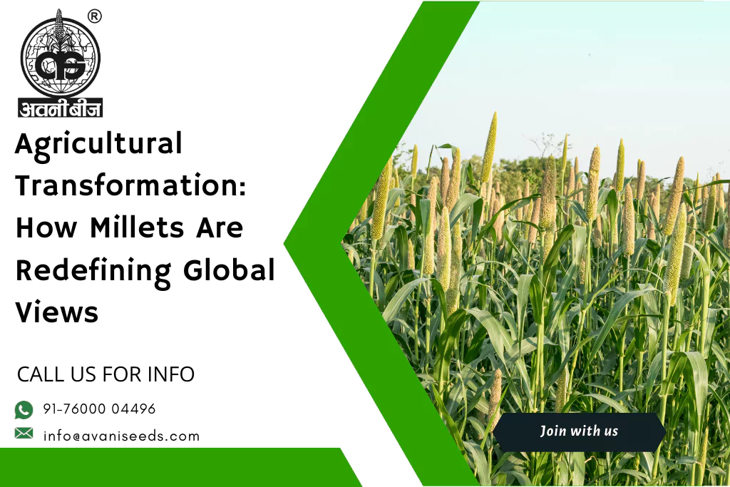 What impact will the International Year of Millets 2023 have on the global perspective of millets?