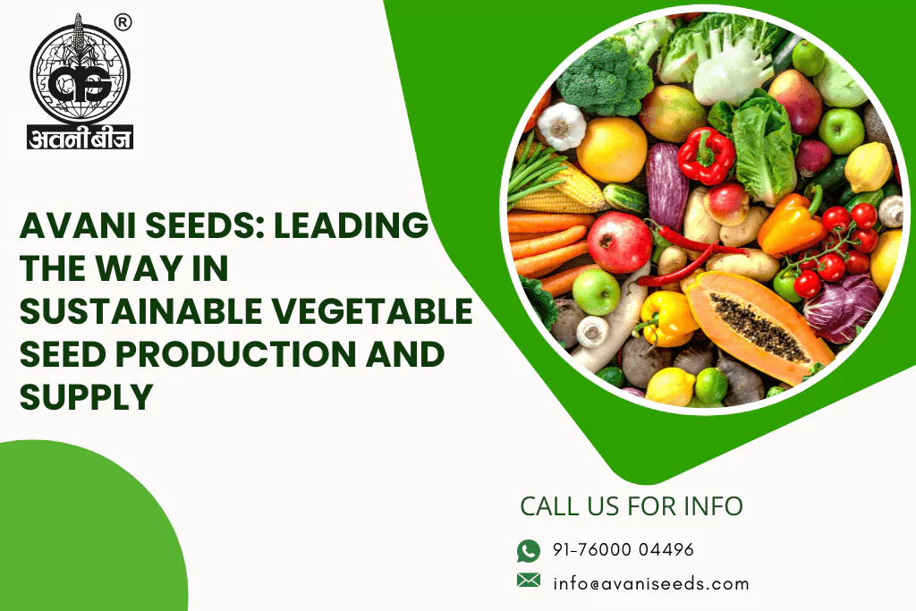 Why is Avani Seeds a leading vegetable seeds manufacturer and supplier?