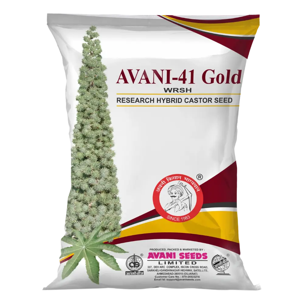 Research Hybrid Castor  AVANI-41 (Gold) WRSH