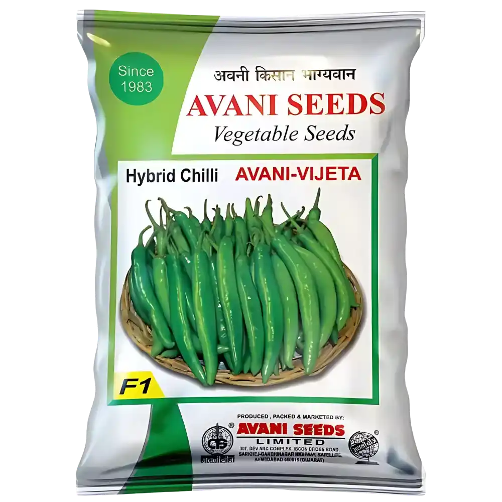 Hybrid Chilli  AVANI – Vijeta