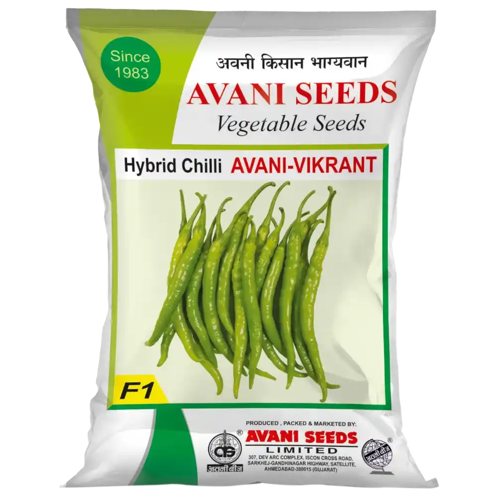 Hybrid Chilli   AVANI – Vikarnt