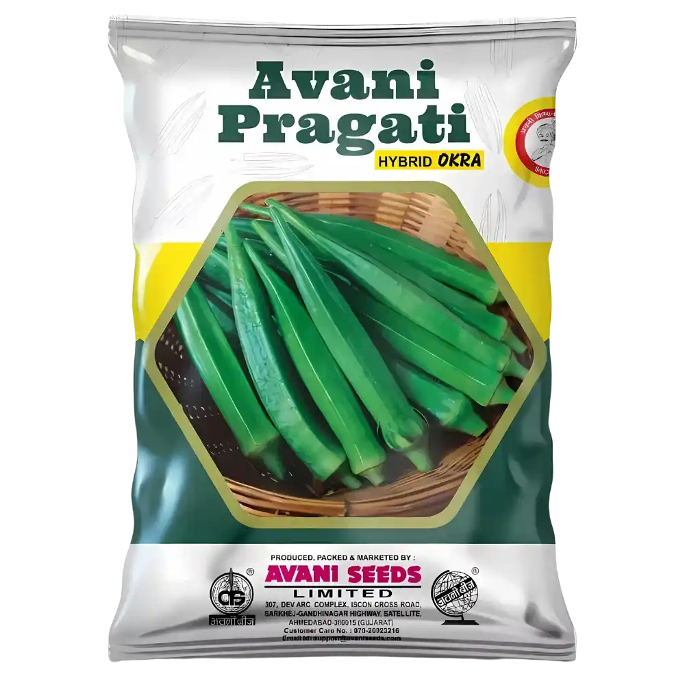 Hybrid Okra  AVANI – Pragati