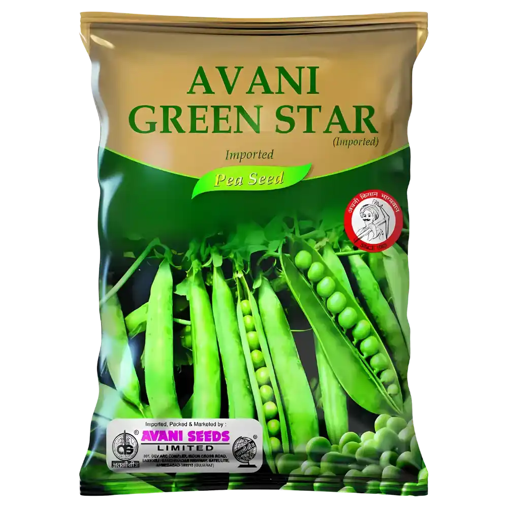 Hybrid Peas  AVANI – Green star