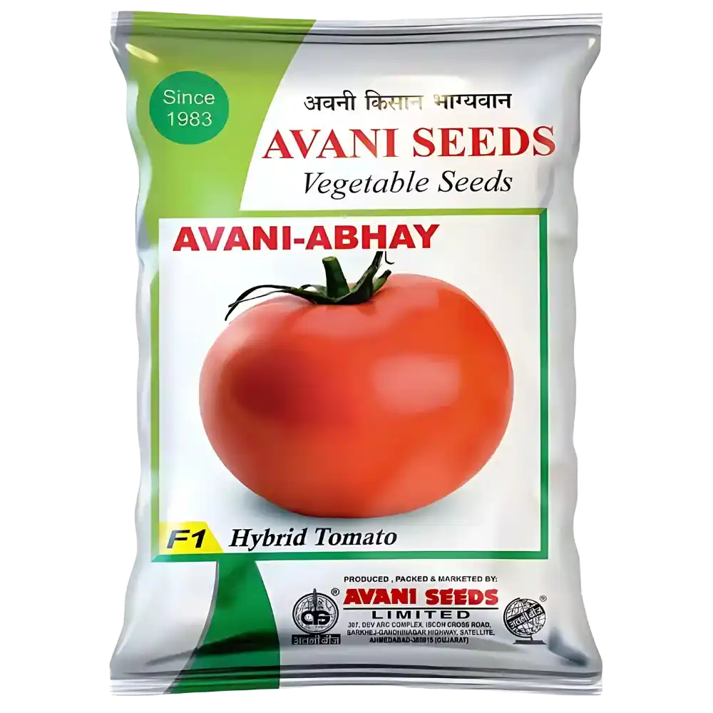 Hybrid Tomato  AVANI – Abhay