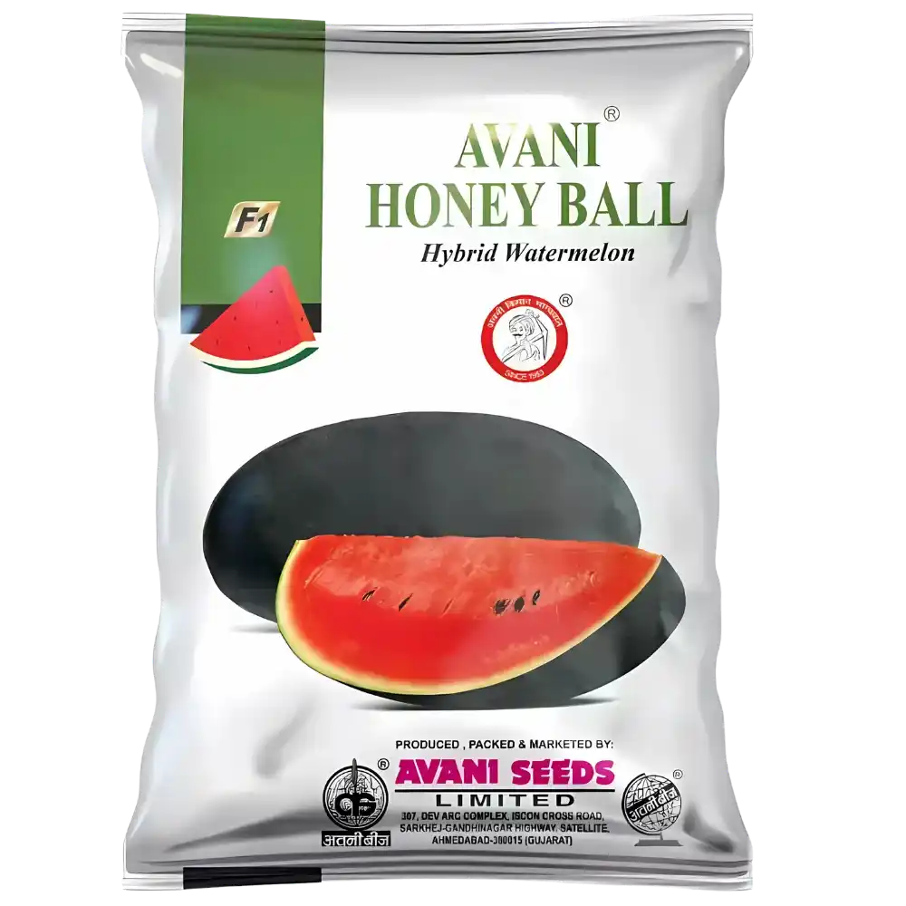 Hybrid Watermelon  AVANI – Honey Boll