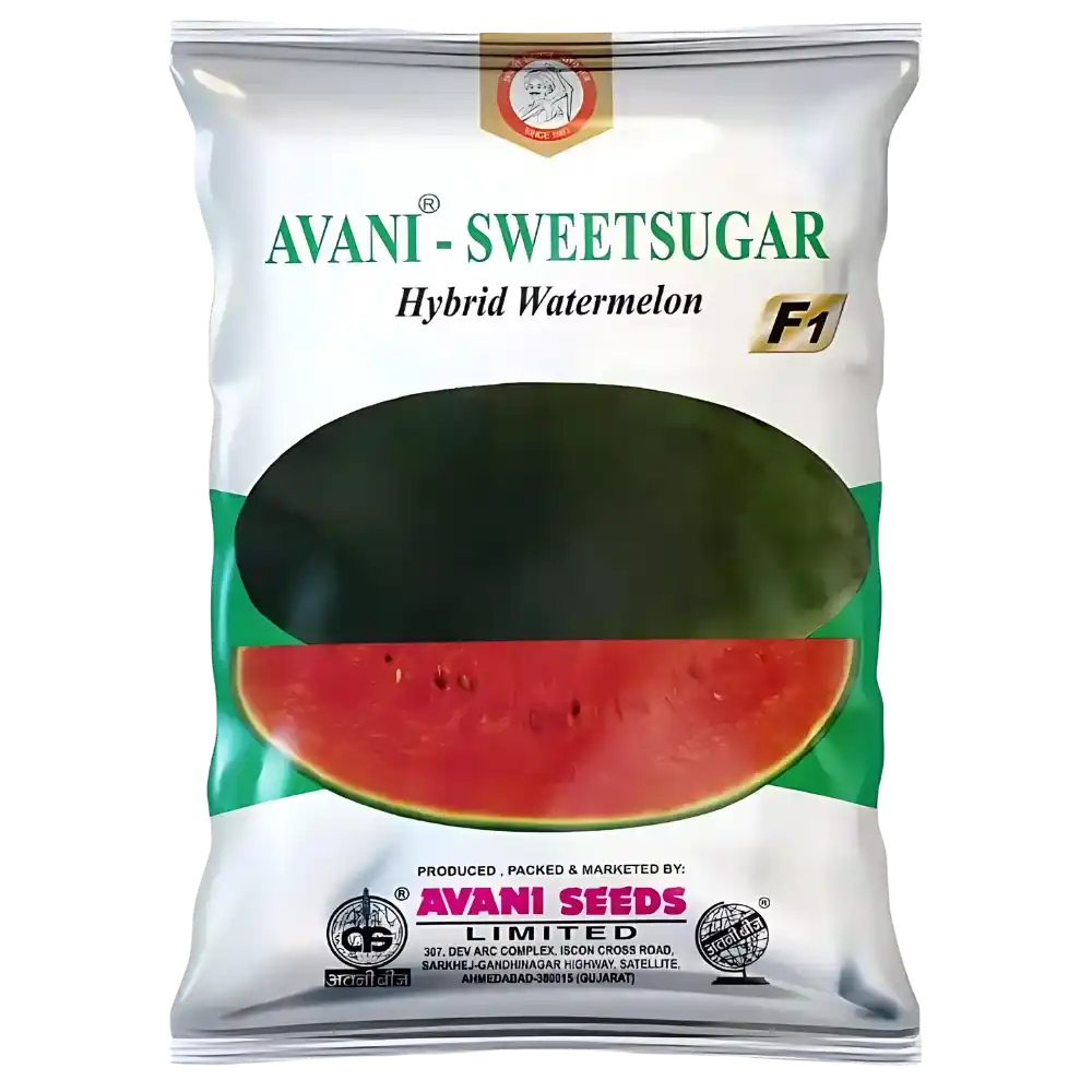 Hybrid Watermelon  AVANI – Sweet Sugar