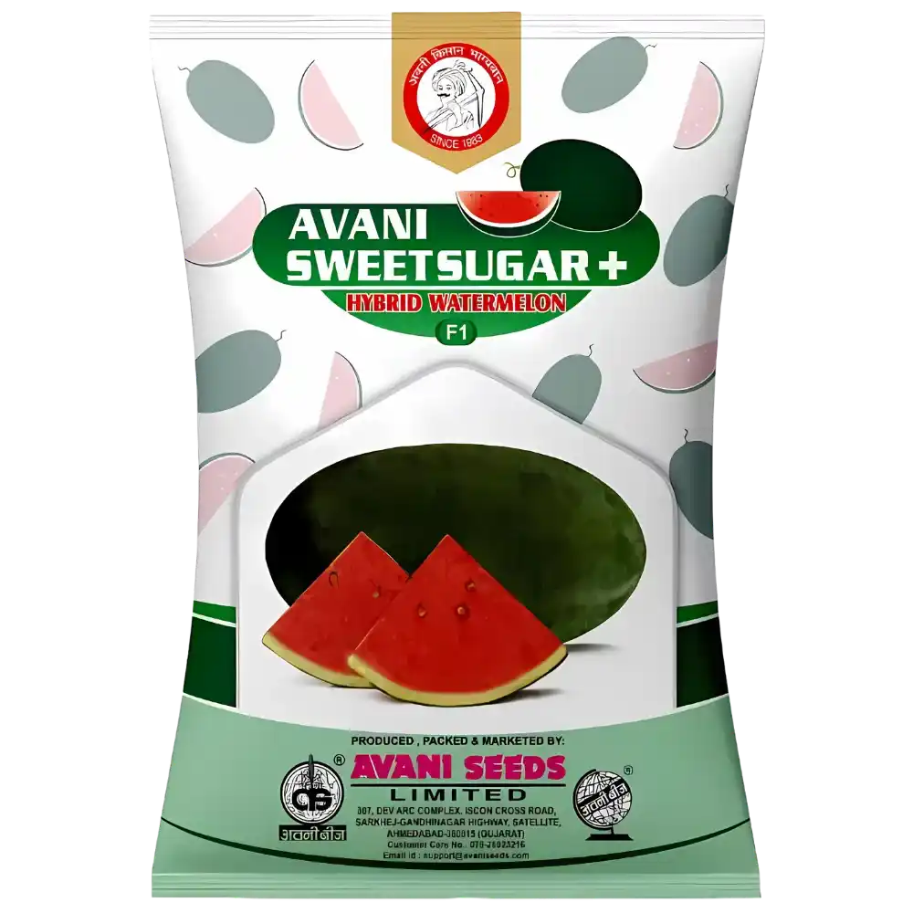 Hybrid Watermelon  AVANI – Sweet Suger+