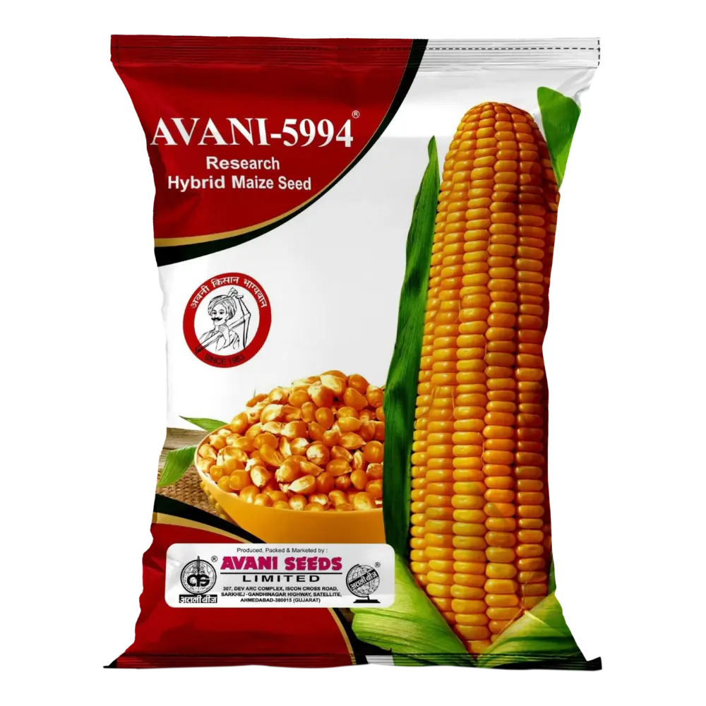 Research Hybrid Maize 
  AVANI-5994