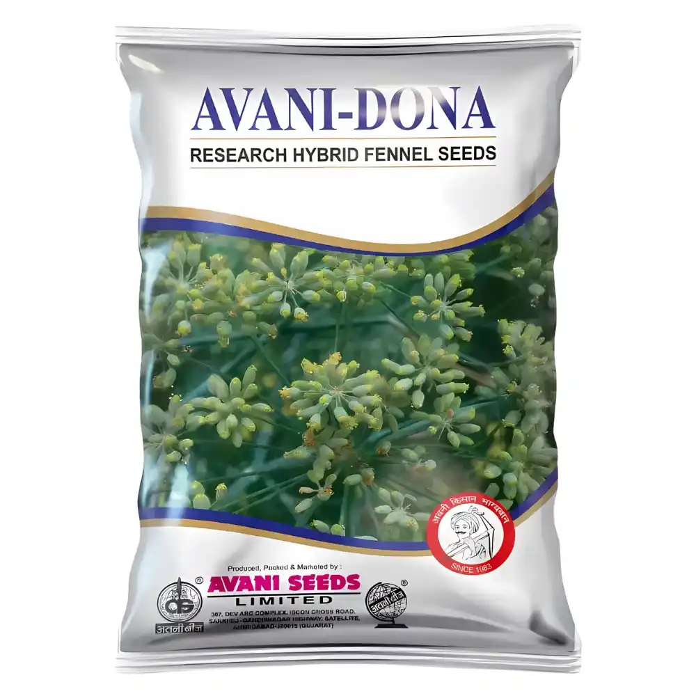 Research Fennel   AVANI – Dona