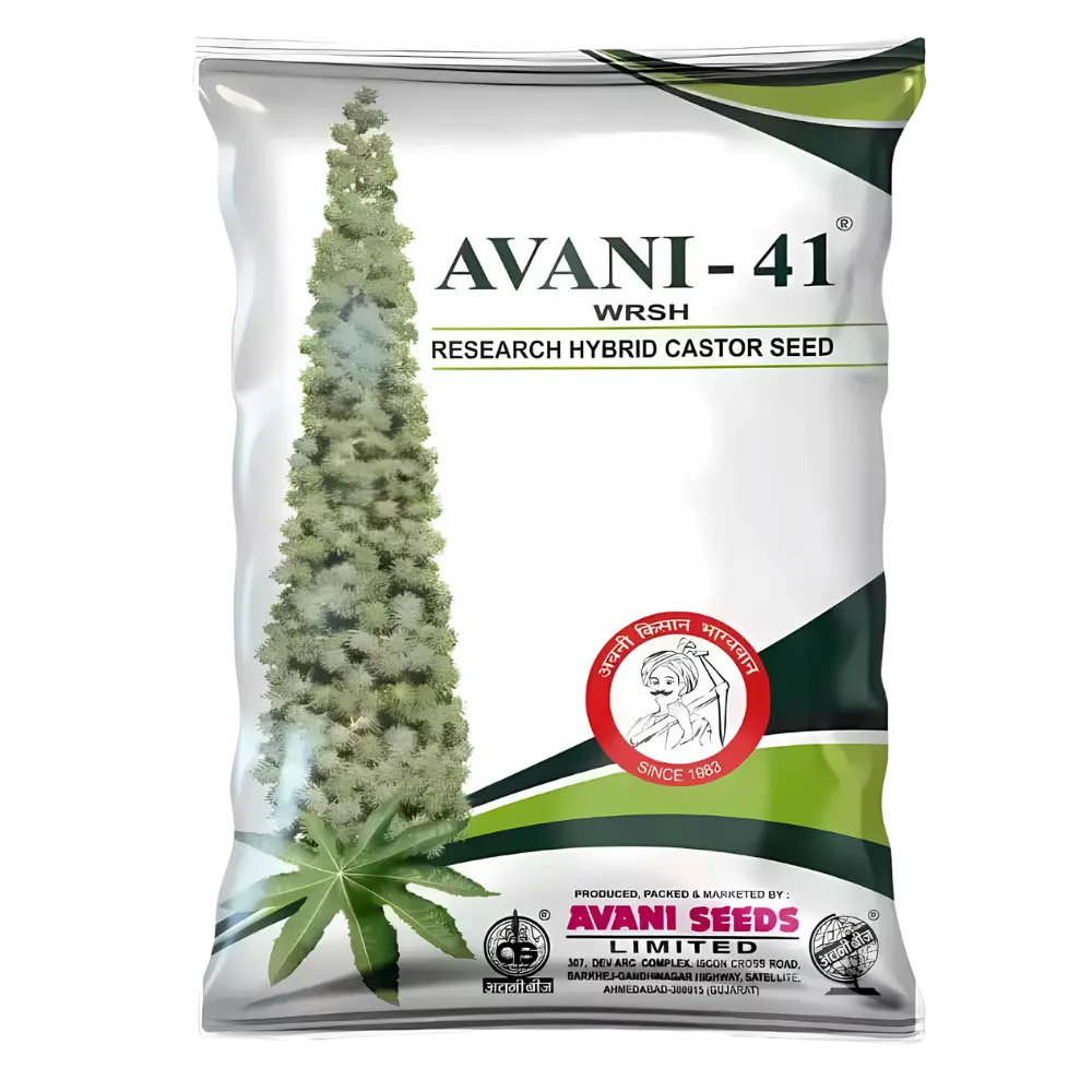 Research Hybrid Castor  AVANI – 41 WRSH