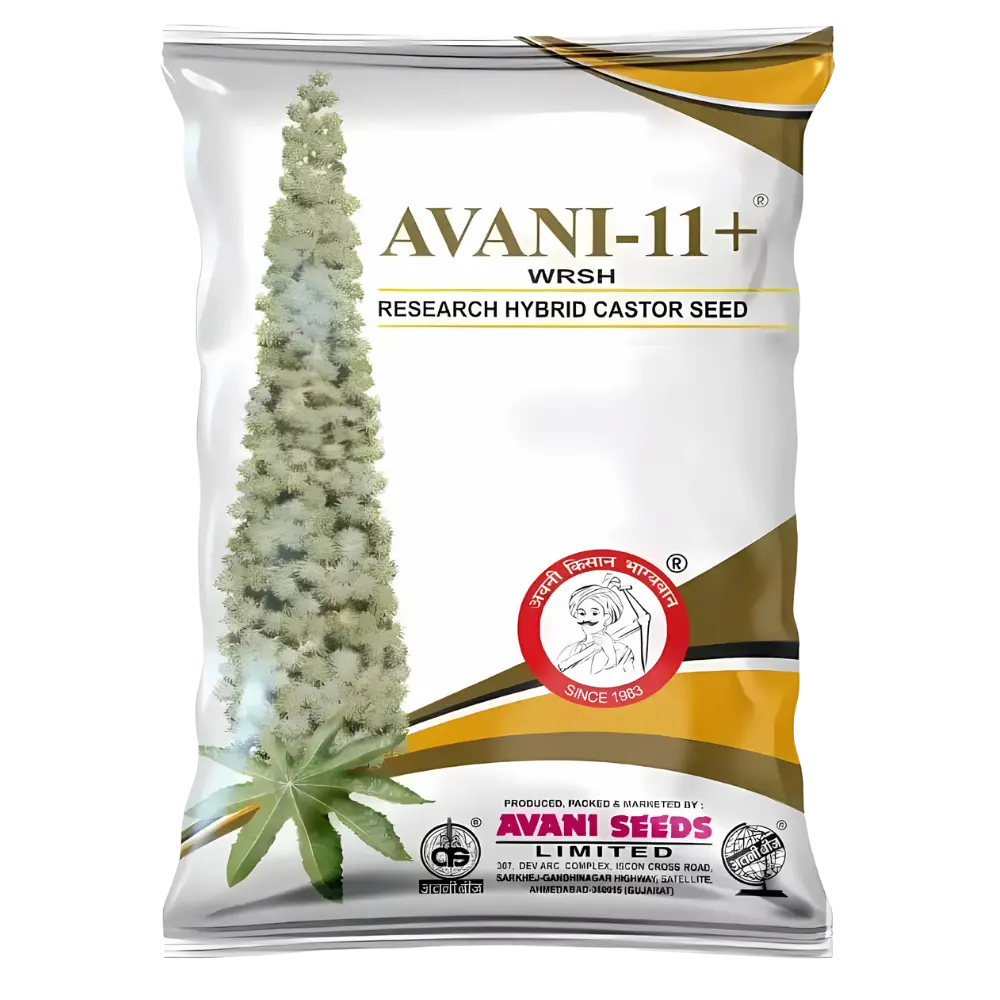 Research Hybrid Castor  AVANI–11+ WRSH