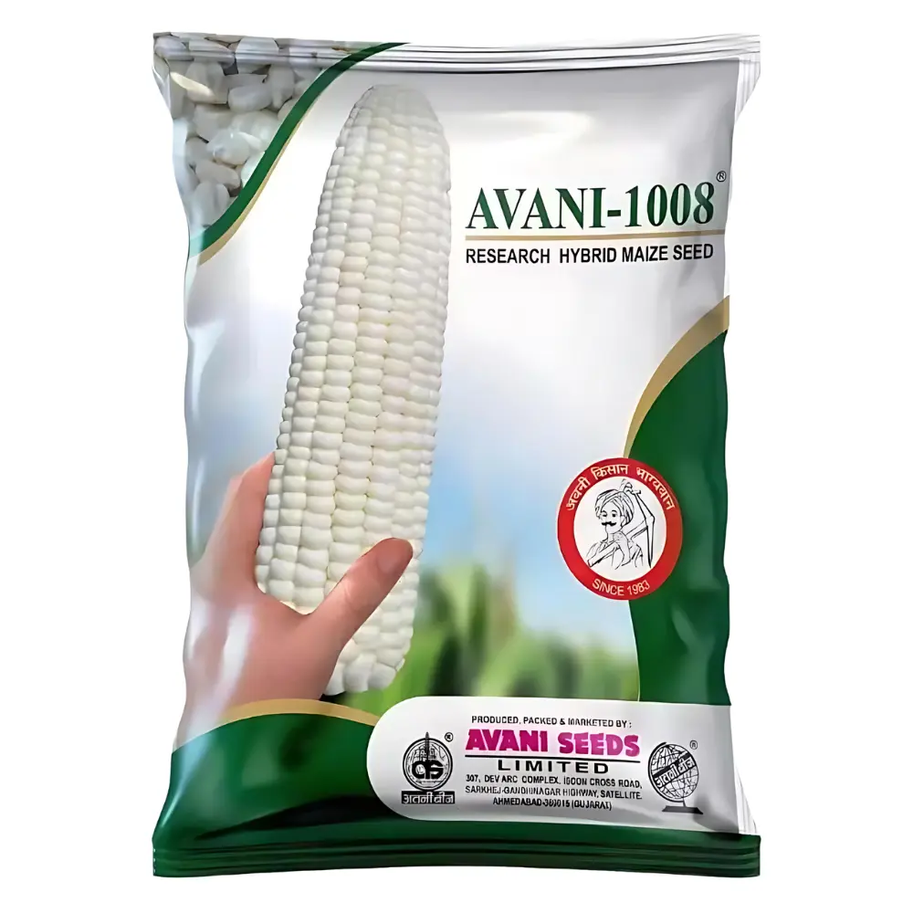 Research Hybrid Maize  AVANI-1008(White Maize)