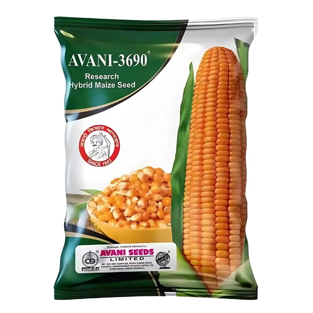 Research Hybrid Maize    AVANI-3690