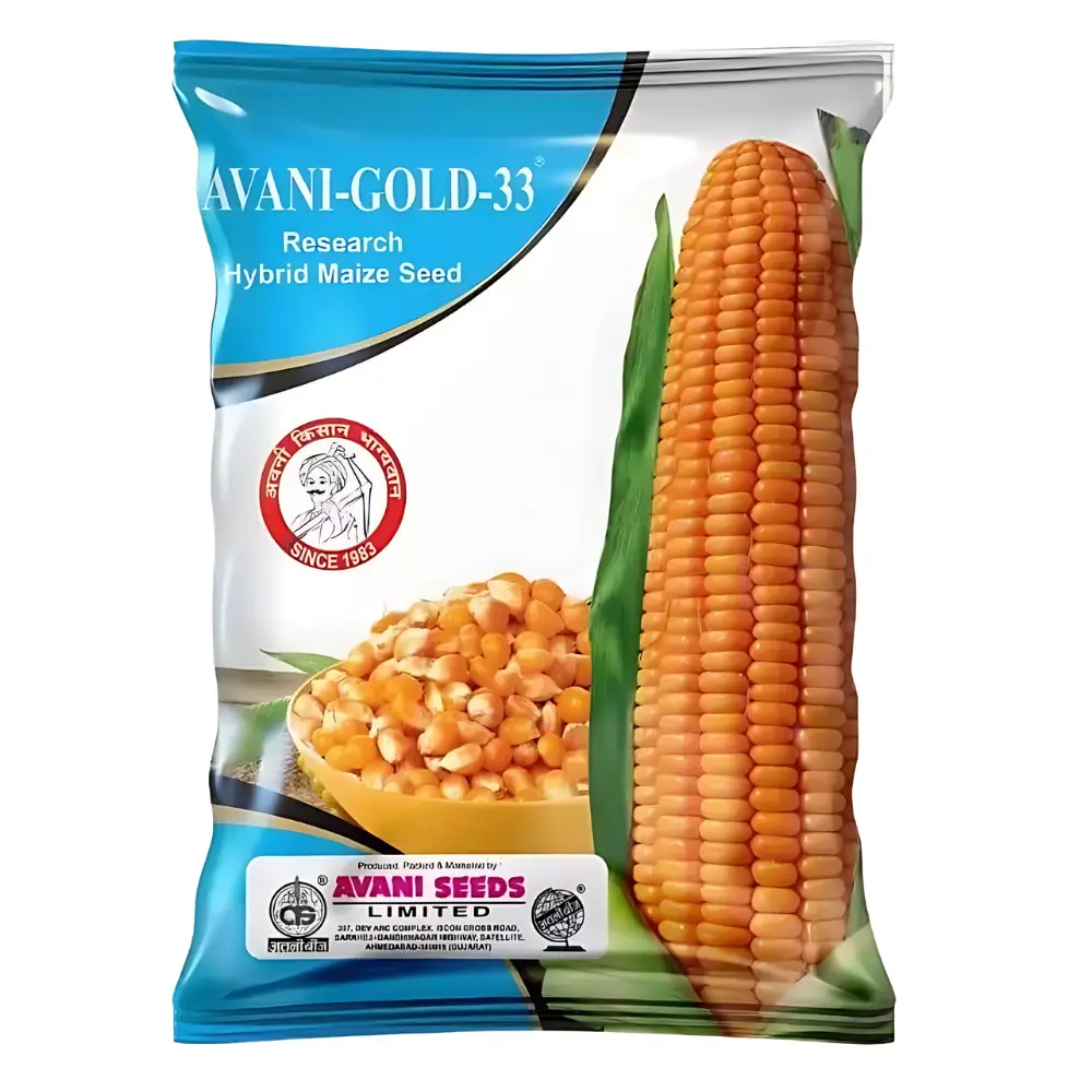 Research Hybrid Maize 
  AVANI-GOLD 33