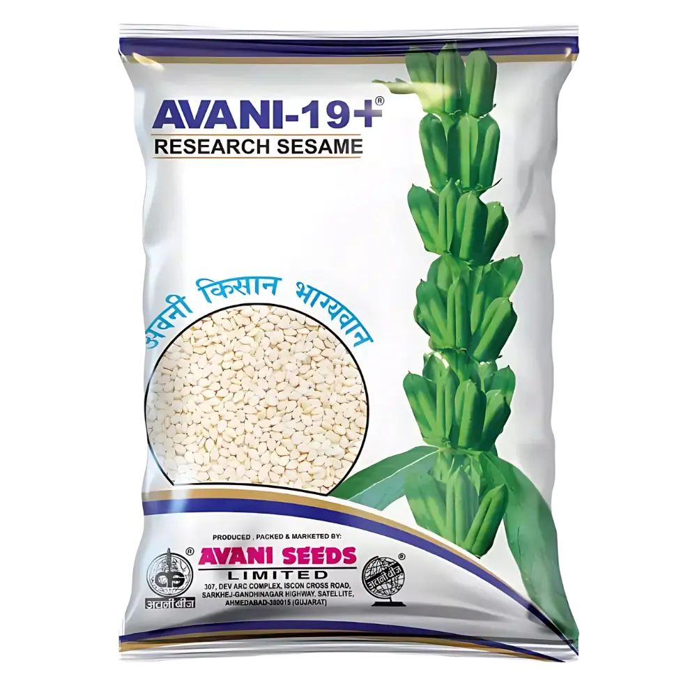 Research Sesame  AVANI – 19+ (White)