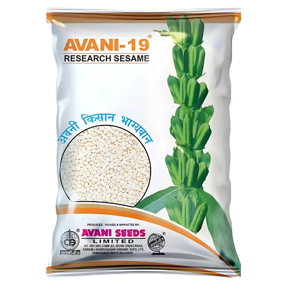 Research Sesame  AVANI – 19 (White)