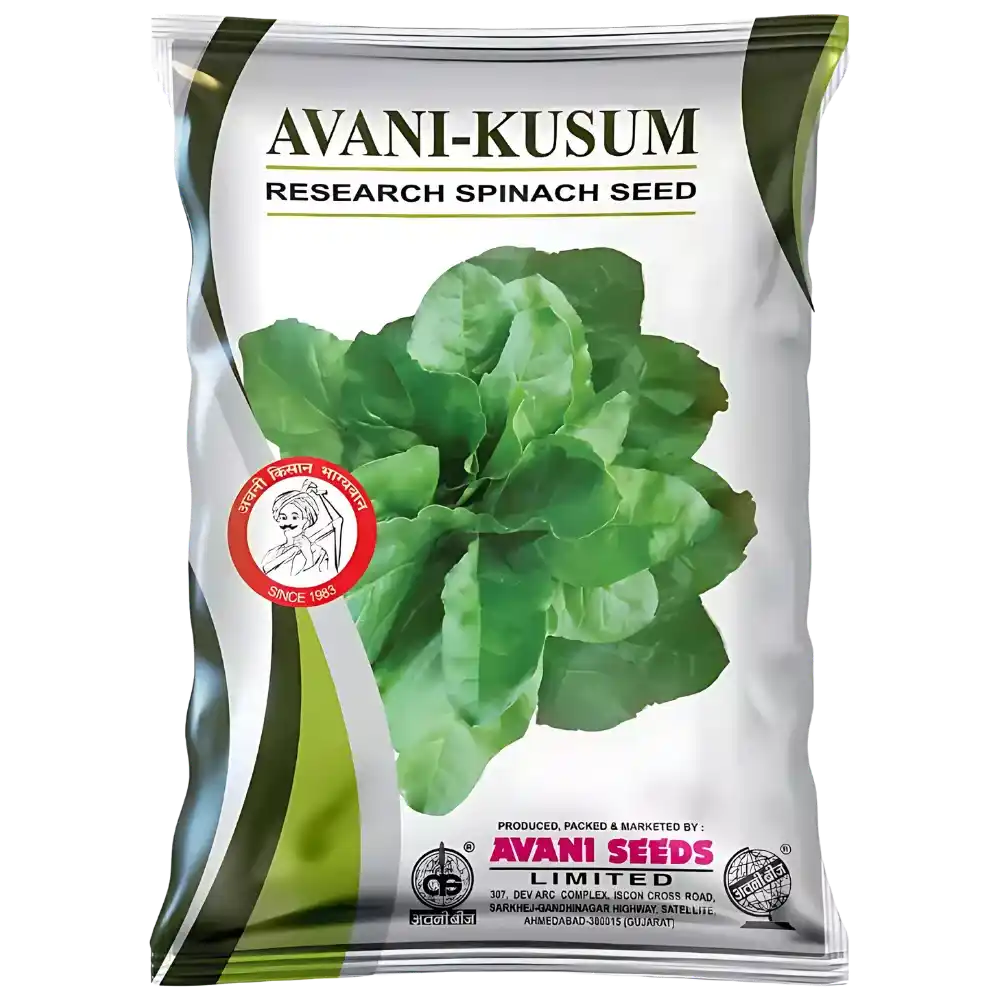 Research Spinach Seed 
Avani Kusum