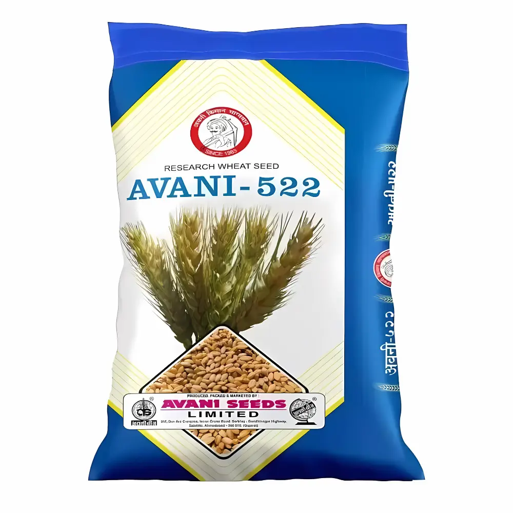 Research Wheat   AVANI – 552