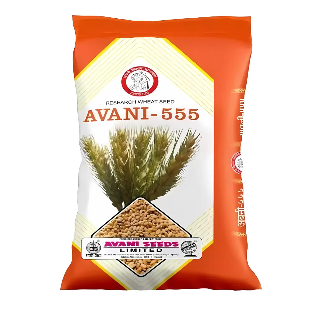 Research Wheat   AVANI – 555