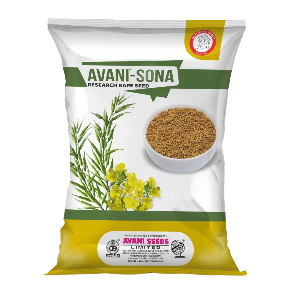 Research Rapeseed  AVANI – Sona