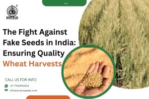 The Fight Against Fake Seeds in India