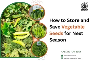 How to Store and Save Vegetable Seeds for Next Season