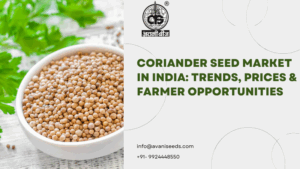Coriander Seed Market in India