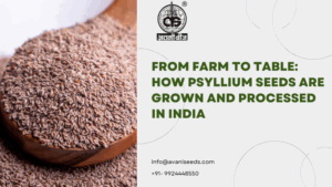 How Psyllium Seeds are Grown
