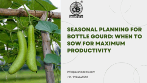 Seasonal Planning for Bottle Gourd