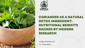 Coriander as a Natural Detox Ingredient