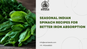 Spinach Recipes