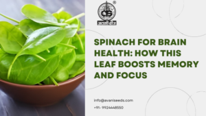 Spinach for Brain Health