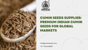 Premium cumin seeds supplier for global export