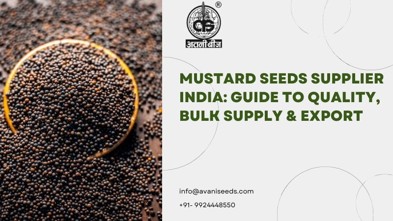 Premium Mustard Seeds Supplier India for Bulk Supply and Export Quality Seeds