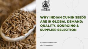 Cumin Seeds Supplier India