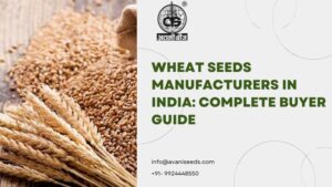Wheat Seeds Manufacturers in India: Complete Buyer Guide