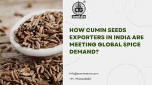 Cumin Seeds Exporters India