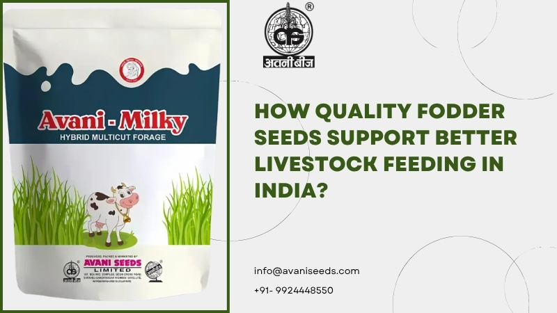 Quality fodder seeds for livestock feeding in India