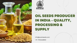 Different varieties of oilseeds sourced from India