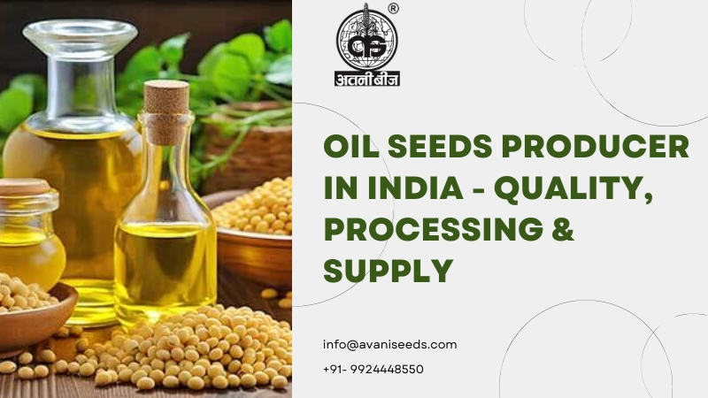 Different varieties of oilseeds sourced from India