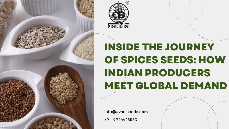 Avani Seed spices seeds producer company in India offering quality seeds