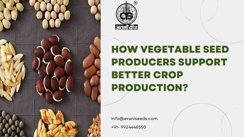 Vegetable seed producers supporting better crop production with high-quality vegetable seeds